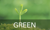 Get Clean Green