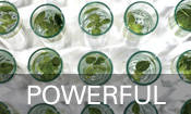 Get Clean Powerful