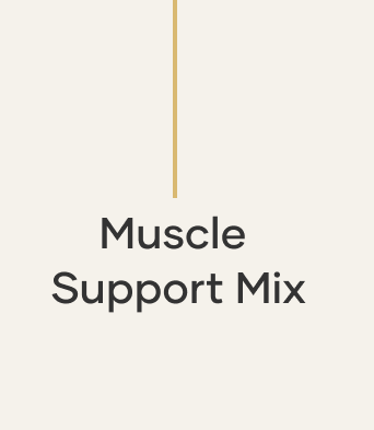 Muscle Support Mix text image