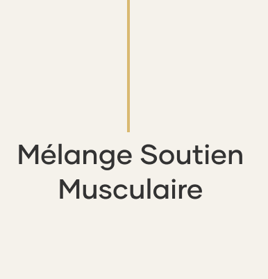 Muscle Support Mix text image