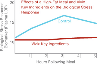 Effects of a High-Fat Meal and Vivix Key Ingredients on the Biological Stress Response