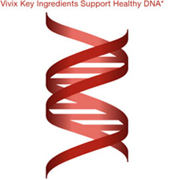 Vivix Key Ingredients Support Healthy DNA*