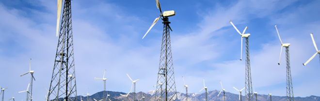 Shaklee supports construction of Windmills