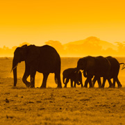 Top Achievers Trip to Kenya