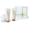 Holiday Body Promo