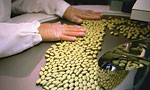 State-Of-the-Art Manufacturing
