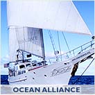 Ocean Alliance