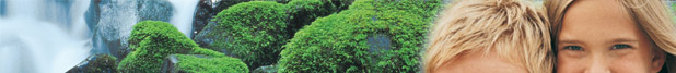 Five Easy Ways to Go Green